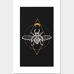 Gold Beetle Posters and Art